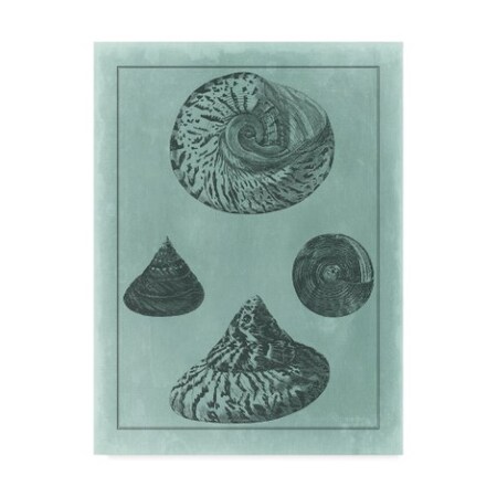 Trademark Fine Art Vision Studio 'Spa Shell Collection Ii' Canvas Art, 24x32 WAG01202-C2432GG
